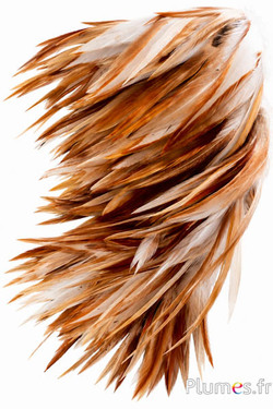 Franje haan - lengte veren 10-15 cm - crème-bruin-naturel